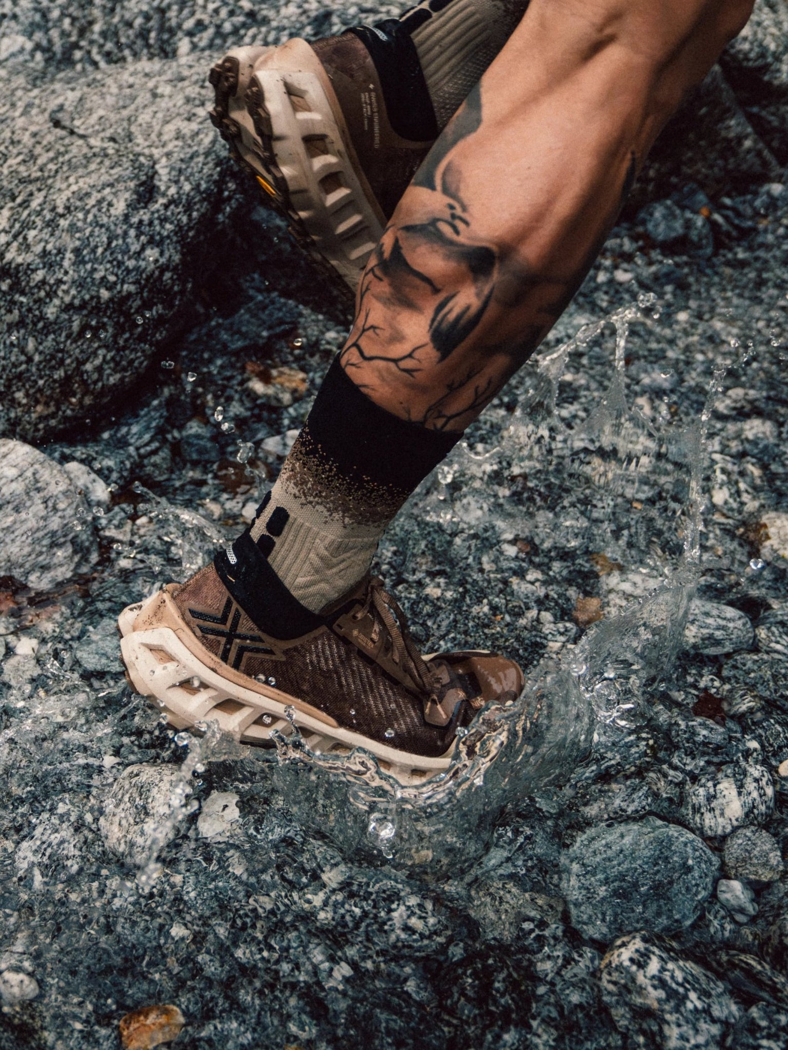 x-bionic-terraskin-x03-gtx-trailschuh-dark-sand-light-sand image 3