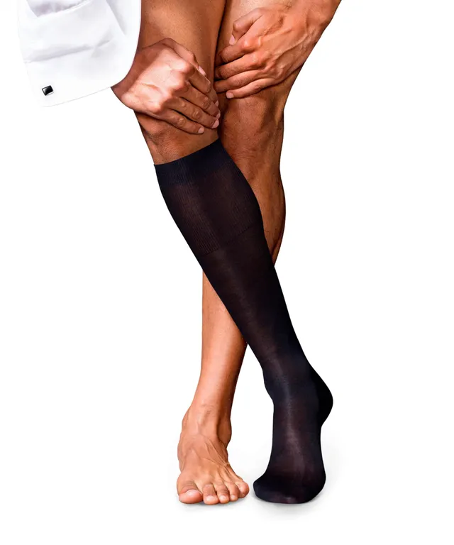 falke-bristol-no-2-damensocken-seide-1-paar-business image 1