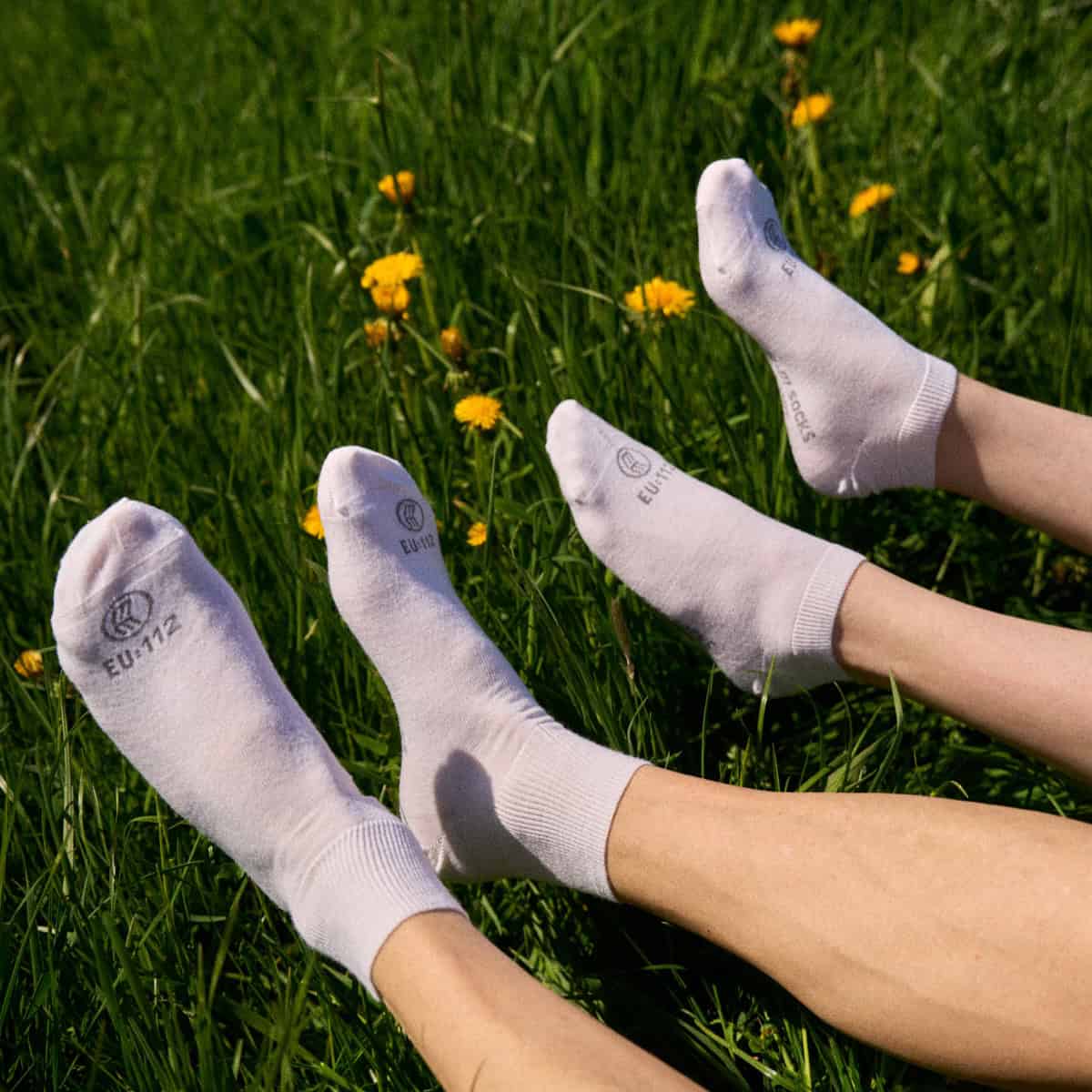 wundersocks-micro-merino-socken-sand-8er-pack-extra-d-nn image 6